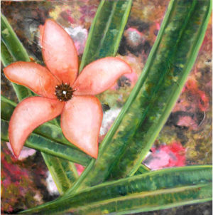 CACTUS FLOWER