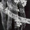 PLEINE LUNE - Image 2