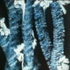 NUIT CAPITEUSE - Image 2